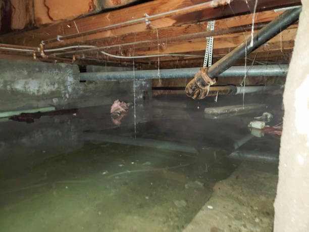 Best Commercial water damage restoration  in Moses Lake North, WA