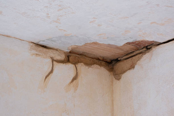 Best Flooded house restoration  in Moses Lake North, WA