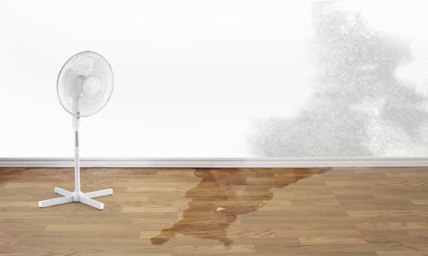 Best Commercial water damage restoration  in Moses Lake North, WA
