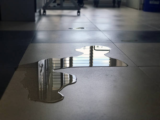Best Water damage restoration near me  in Moses Lake North, WA