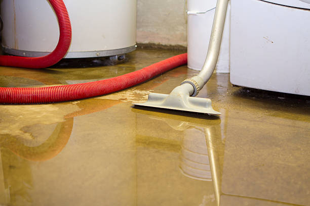 Carpet water damage restoration in Moses Lake North, WA