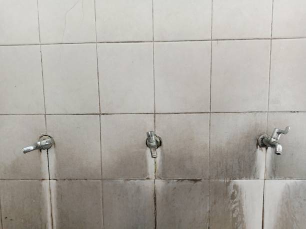 Best Flood restoration services  in Moses Lake North, WA