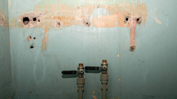 Best Water damage restoration near me  in Moses Lake North, WA
