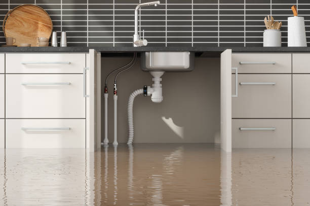 Professional Water damage restoration in Moses Lake North, WA
