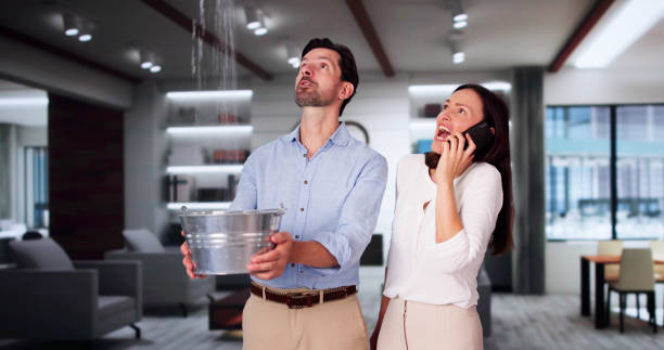 Best Mold removal after water damage  in Moses Lake North, WA