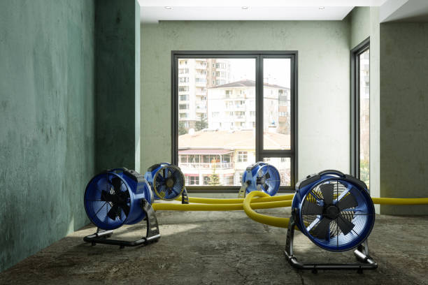 Best Water damage cleanup near me  in Moses Lake North, WA